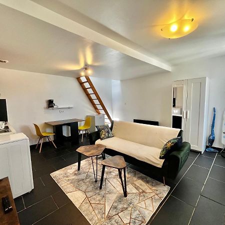 Studios Au Quartier Pavillonnaire Rue D Ambert Orléans Eksteriør billede